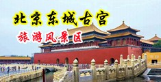 抽插骚逼痉挛视频导航中国北京-东城古宫旅游风景区